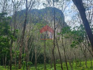 For sale land in Mueang Krabi, Krabi