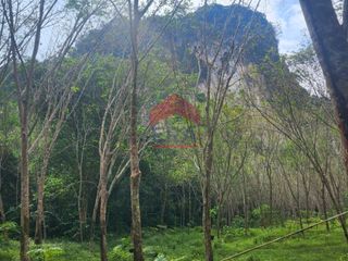 For sale land in Mueang Krabi, Krabi