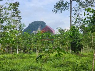 For sale land in Mueang Krabi, Krabi