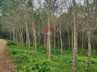 For sale land in Mueang Krabi, Krabi