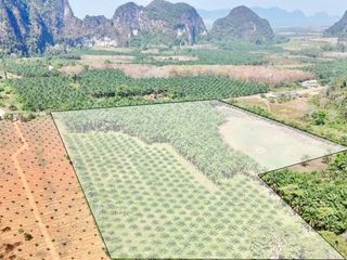 For sale land in Mueang Krabi, Krabi