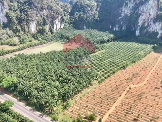 For sale land in Mueang Krabi, Krabi