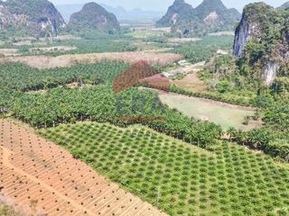 For sale land in Mueang Krabi, Krabi
