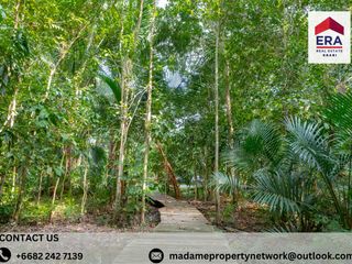 For sale land in Mueang Krabi, Krabi