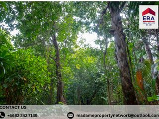 For sale land in Mueang Krabi, Krabi