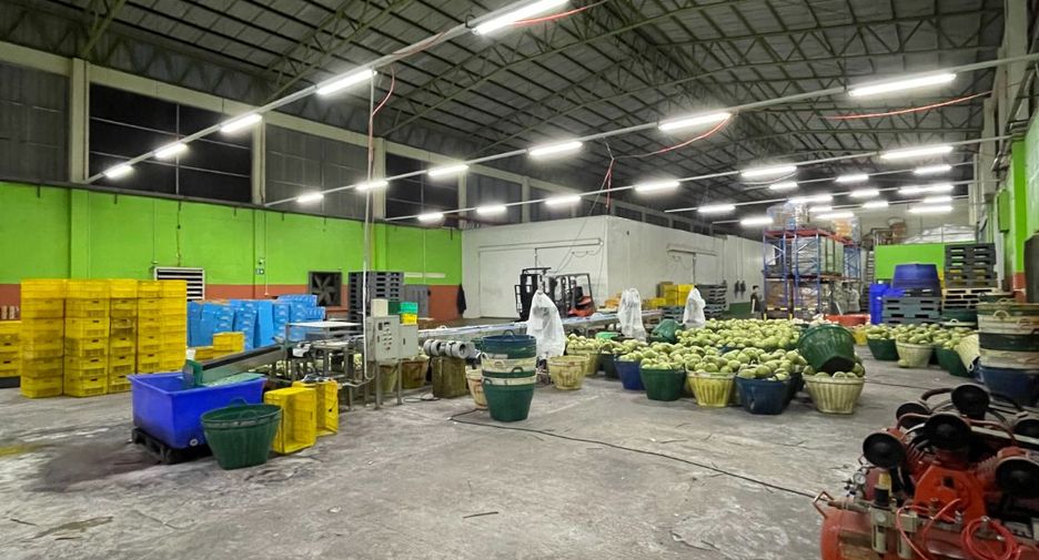 For sale warehouse in Ban Phaeo, Samut Sakhon