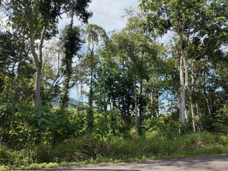 For sale land in Mueang Krabi, Krabi
