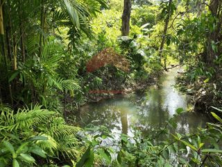 For sale land in Mueang Krabi, Krabi