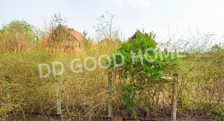 For sale land in Mueang Phetchabun, Phetchabun