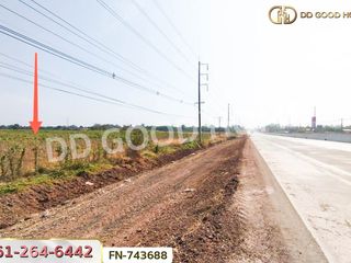 For sale land in Pak Thong Chai, Nakhon Ratchasima