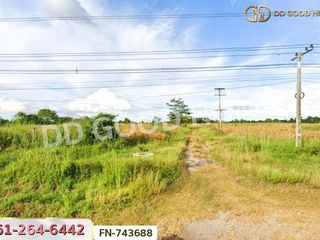 For sale land in Pak Thong Chai, Nakhon Ratchasima