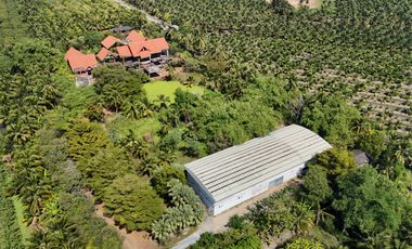 For sale land in Sam Phran, Nakhon Pathom