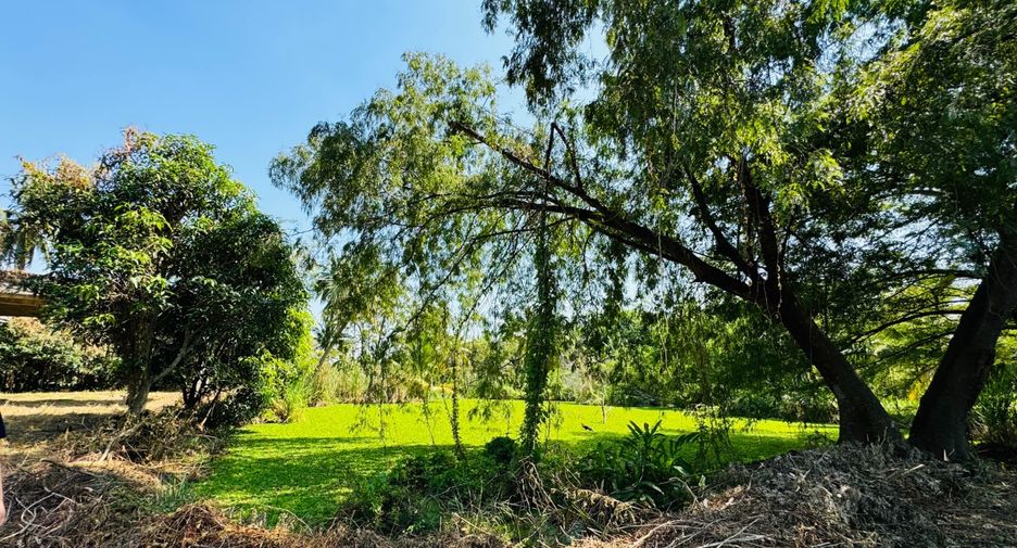 For sale land in Sam Phran, Nakhon Pathom