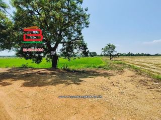For sale land in Doem Bang Nang Buat, Suphan Buri