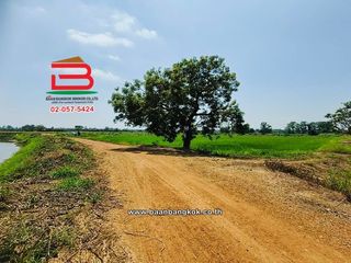 For sale land in Doem Bang Nang Buat, Suphan Buri