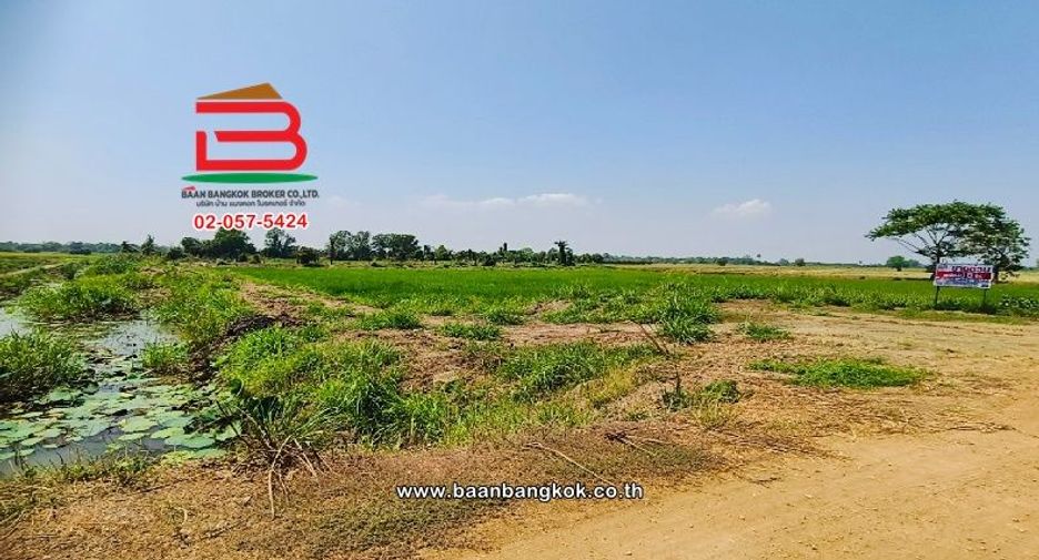 For sale land in Doem Bang Nang Buat, Suphan Buri