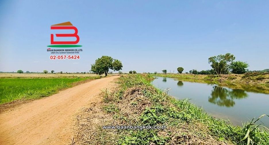 For sale land in Doem Bang Nang Buat, Suphan Buri