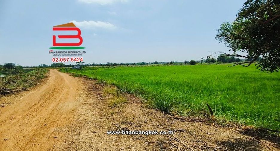 For sale land in Doem Bang Nang Buat, Suphan Buri