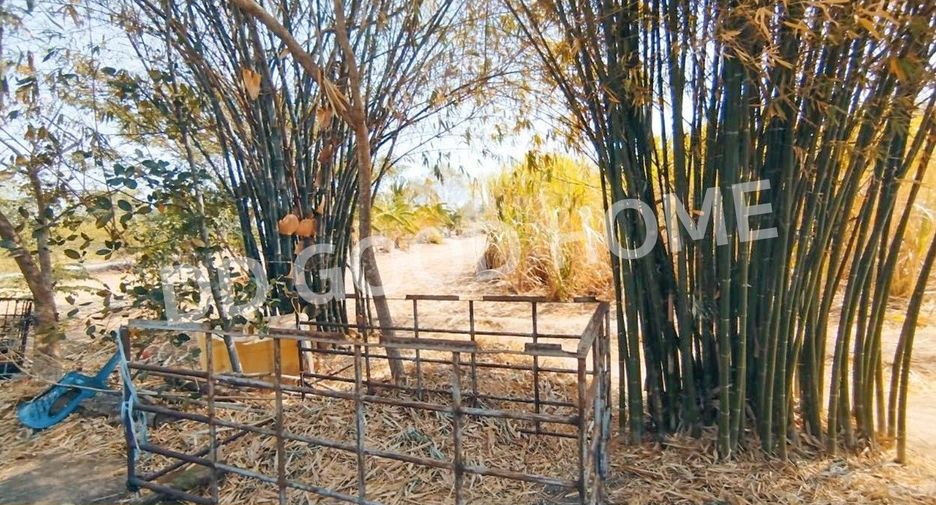 For sale land in Chai Badan, Lopburi