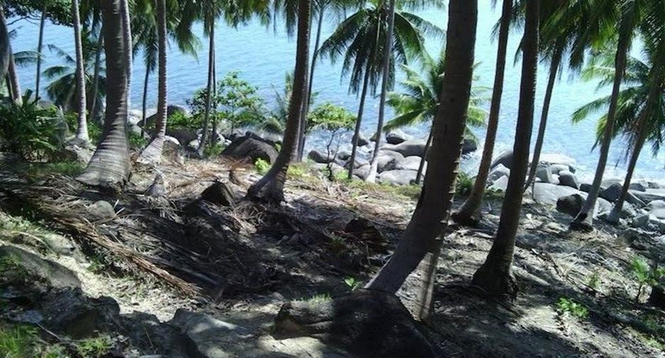 For sale land in Kathu, Phuket