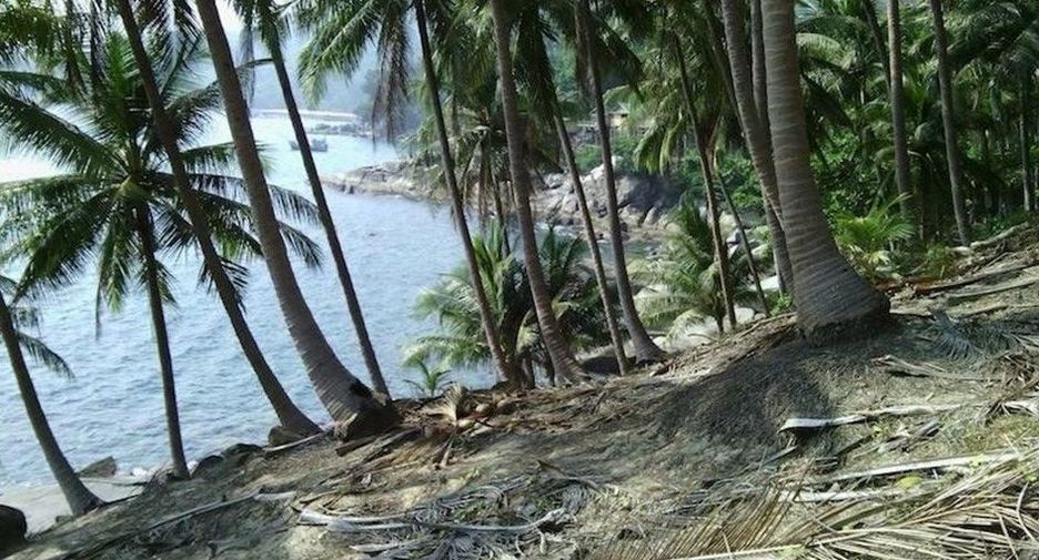 For sale land in Kathu, Phuket