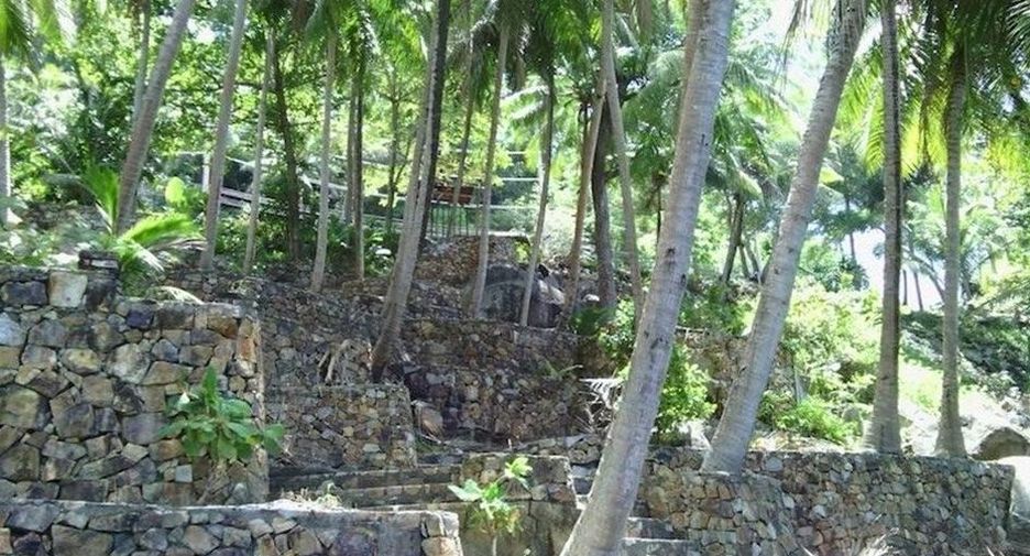For sale land in Kathu, Phuket