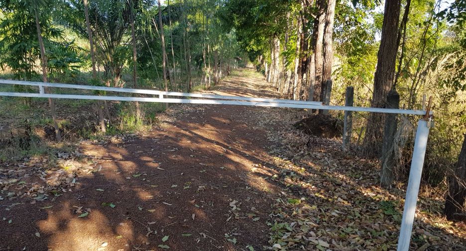 For sale land in Thong Saen Khan, Uttaradit