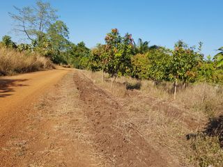 For sale land in Thong Saen Khan, Uttaradit