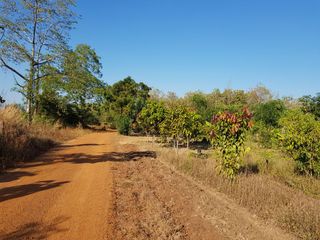 For sale land in Thong Saen Khan, Uttaradit