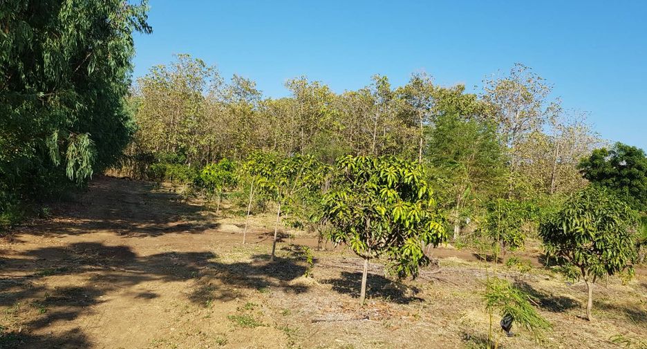 For sale land in Thong Saen Khan, Uttaradit