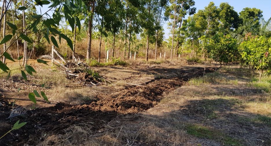 For sale land in Thong Saen Khan, Uttaradit