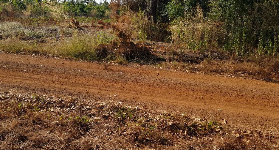 For sale land in Thong Saen Khan, Uttaradit