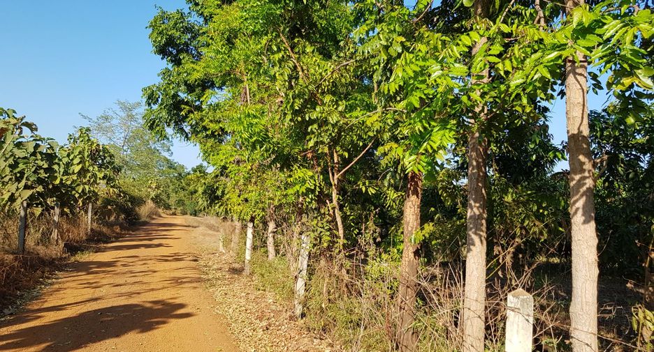 For sale land in Thong Saen Khan, Uttaradit