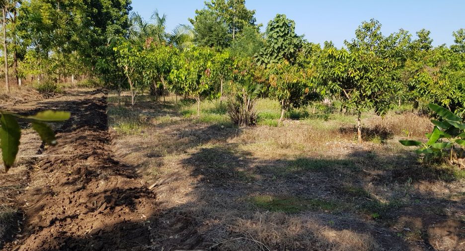 For sale land in Thong Saen Khan, Uttaradit