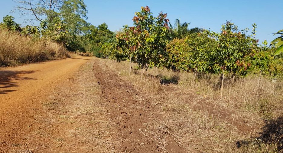 For sale land in Thong Saen Khan, Uttaradit