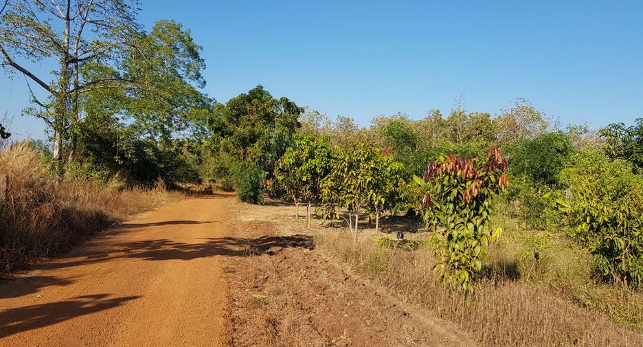 For sale land in Thong Saen Khan, Uttaradit