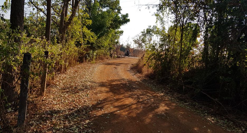 For sale land in Thong Saen Khan, Uttaradit