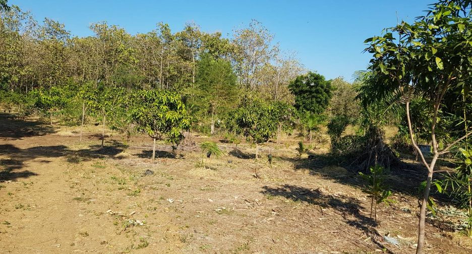 For sale land in Thong Saen Khan, Uttaradit