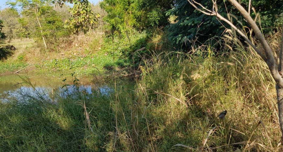 For sale land in Thong Saen Khan, Uttaradit