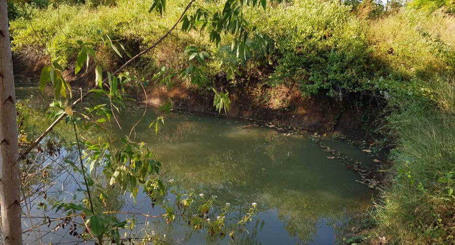 For sale land in Thong Saen Khan, Uttaradit