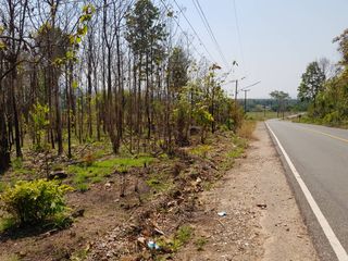For sale land in Nam Pat, Uttaradit