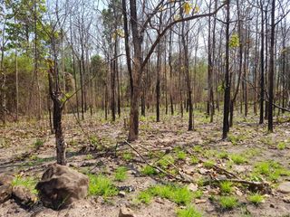 For sale land in Nam Pat, Uttaradit
