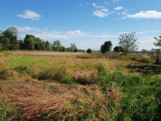 For sale land in Thong Saen Khan, Uttaradit
