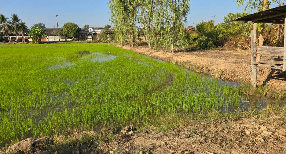 For sale land in Mueang Uttaradit, Uttaradit