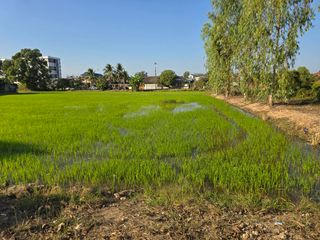 For sale land in Mueang Uttaradit, Uttaradit