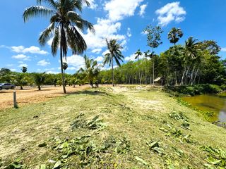 For sale land in Takua Thung, Phang Nga