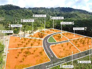 For sale land in Takua Thung, Phang Nga
