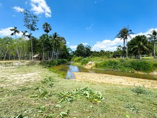 For sale land in Takua Thung, Phang Nga