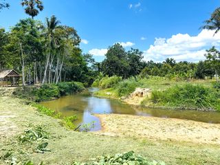 For sale land in Takua Thung, Phang Nga