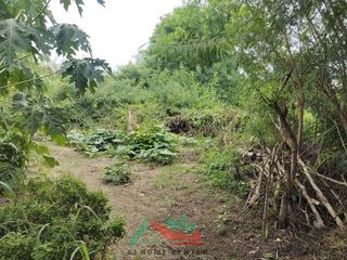 For sale land in Mueang Pathum Thani, Pathum Thani